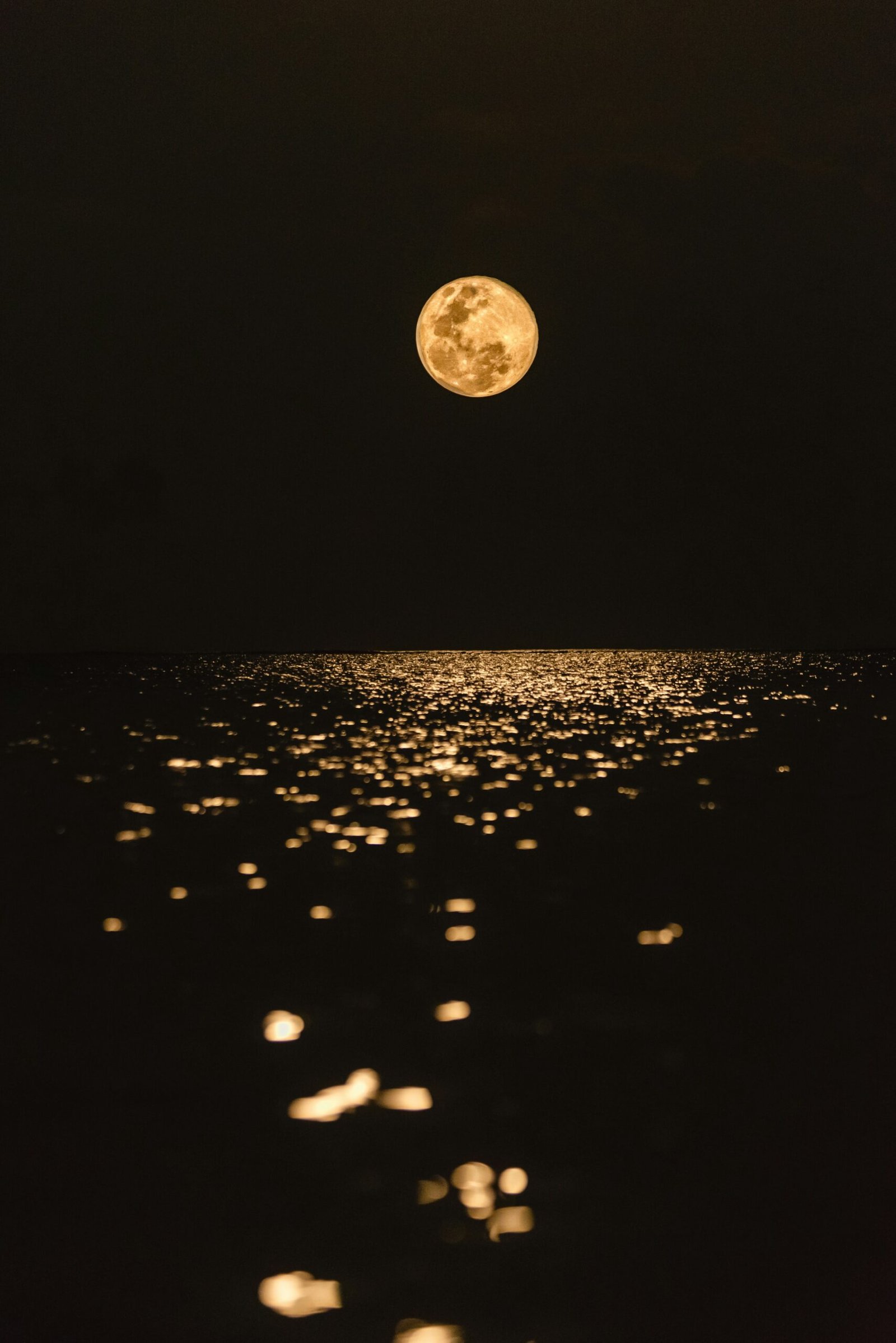 javardh urllqpnfg6y unsplash