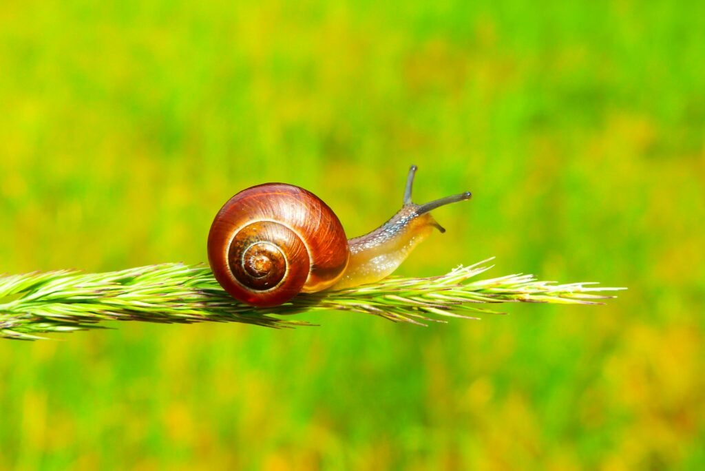 krzysztof niewolny oxk32aljxwu unsplash
